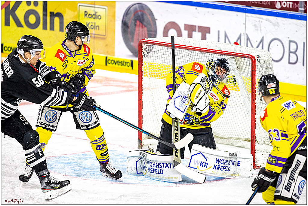 DEL; Koelner Haie - Krefeld Pinuguine; Koeln, 24.11.2019